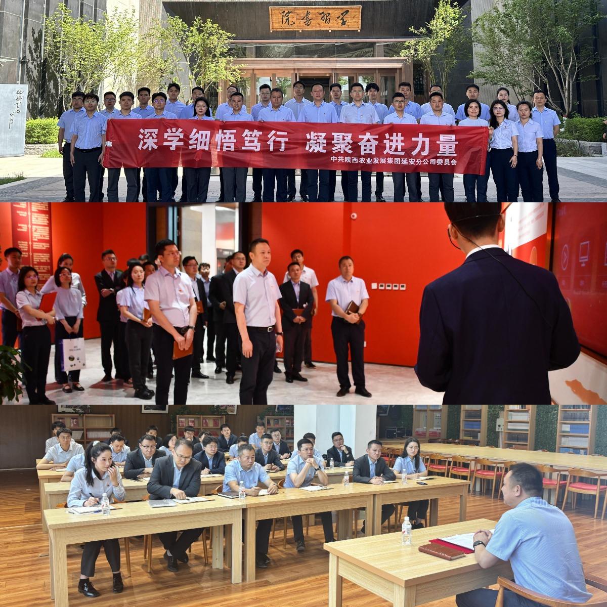 WPS拼圖0.jpg