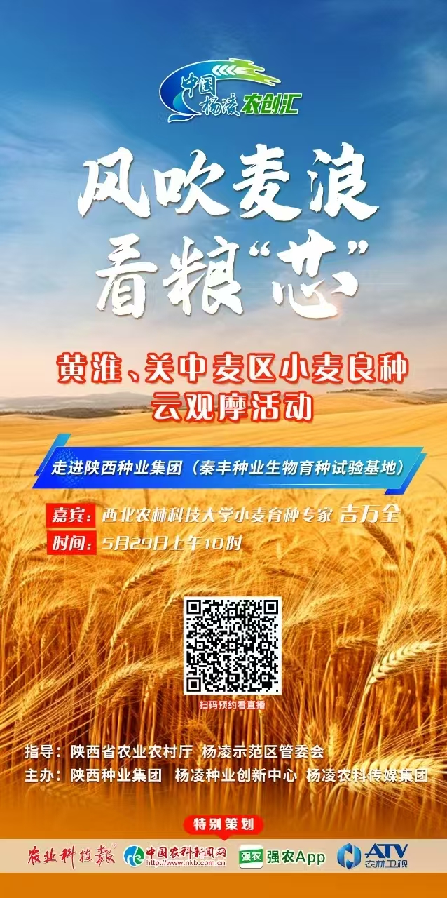 微信圖片_20250530165529.jpg