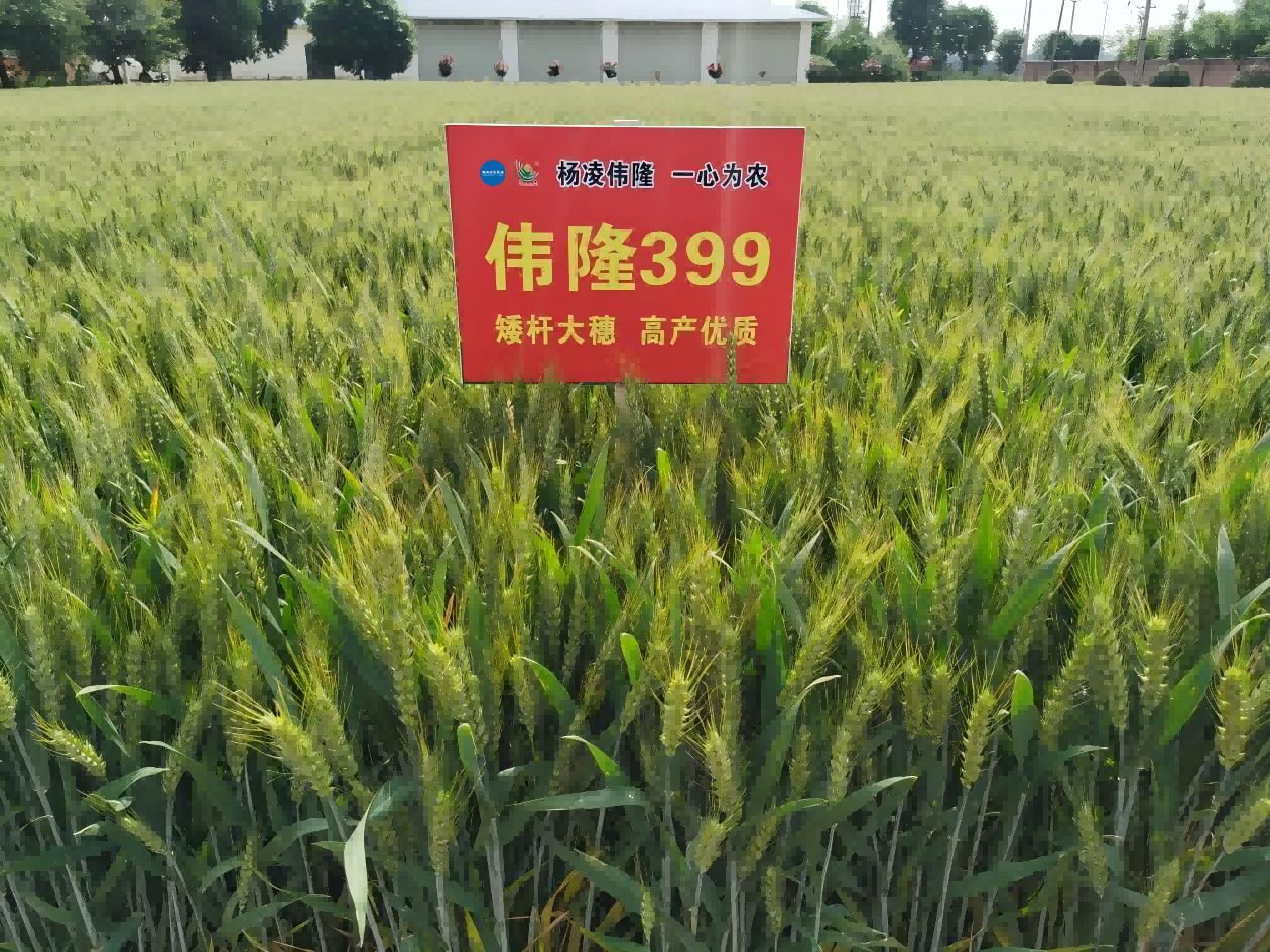 微信圖片_20250710180708(1).png