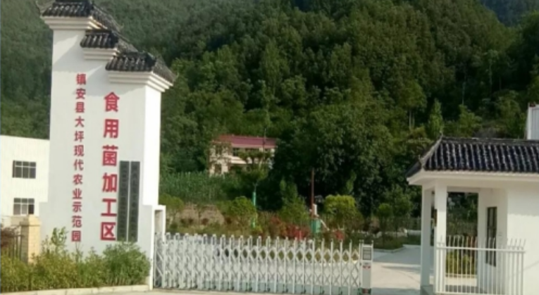 281753695488206262.png image.png