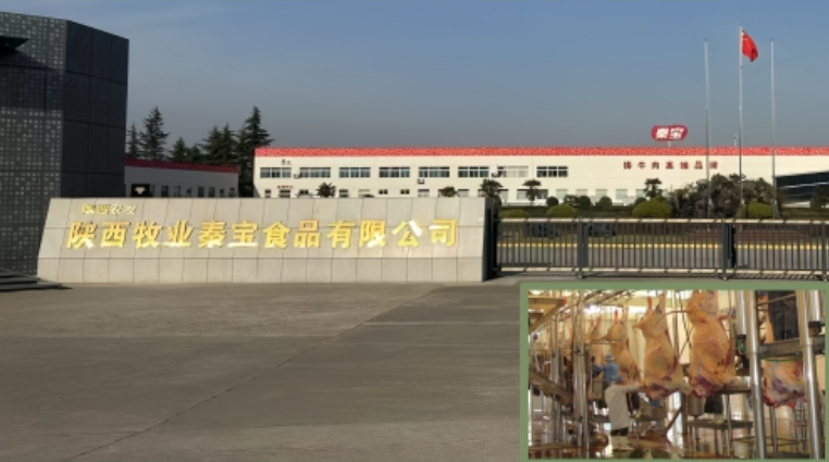 281753695610807116.png image.png