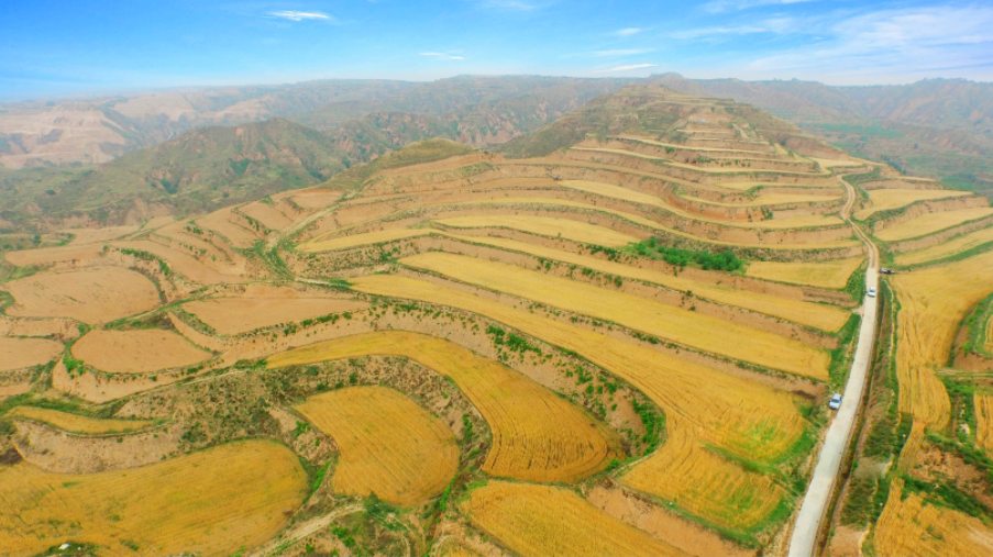 051754386356513280.png image.png