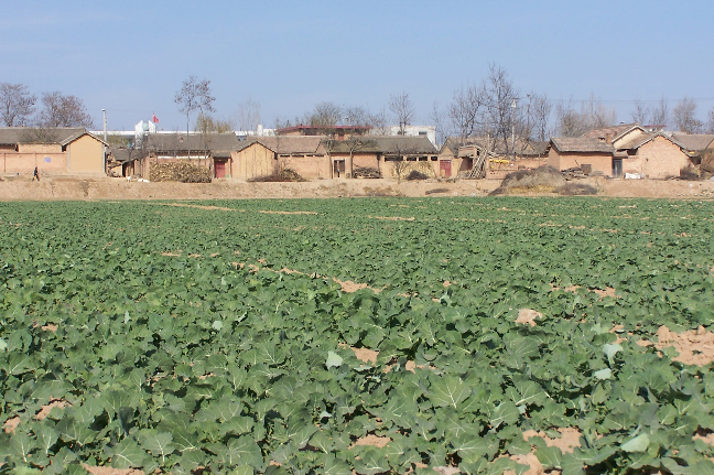 051754386424116832.png image.png