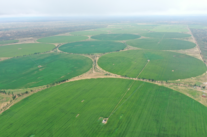 051754386499132873.png image.png