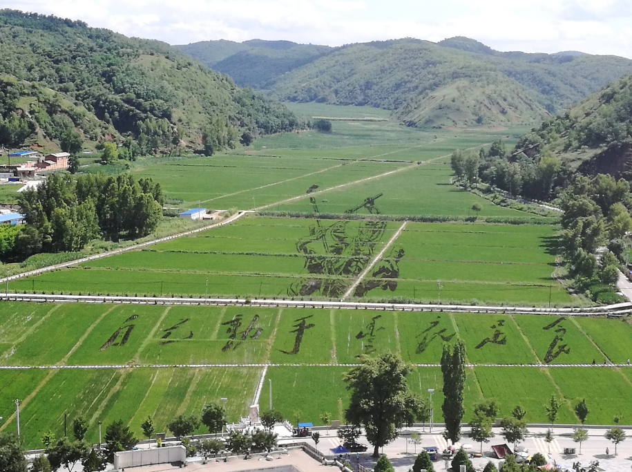 051754386620190394.png image.png