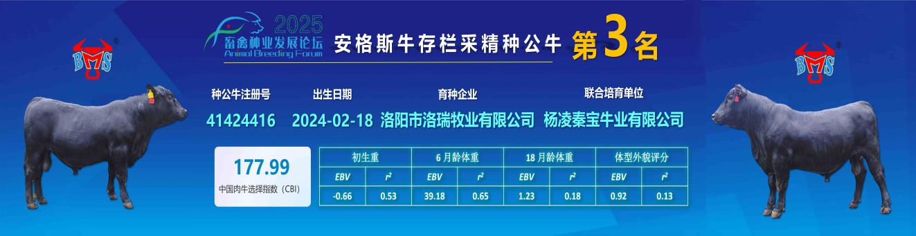 171758101810281031.png 171758101810281031.png