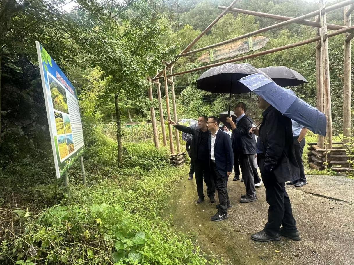 181758176310103109.jpg 1.jpg