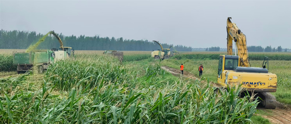 101760081645145478.jpg 華陰22.jpg