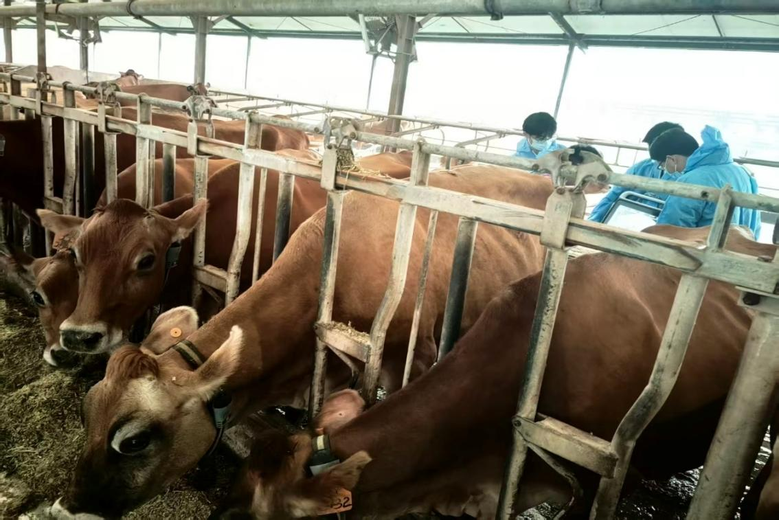 161760582378637267.png 161760582378637267.png