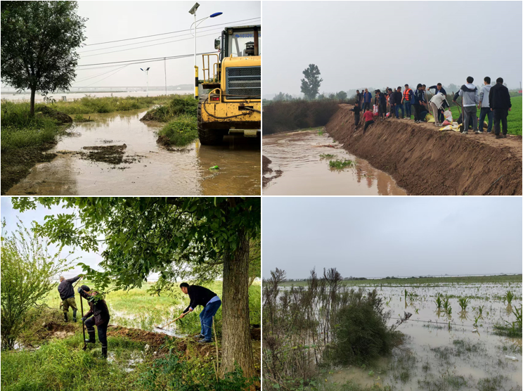 161760606730352074.png image.png