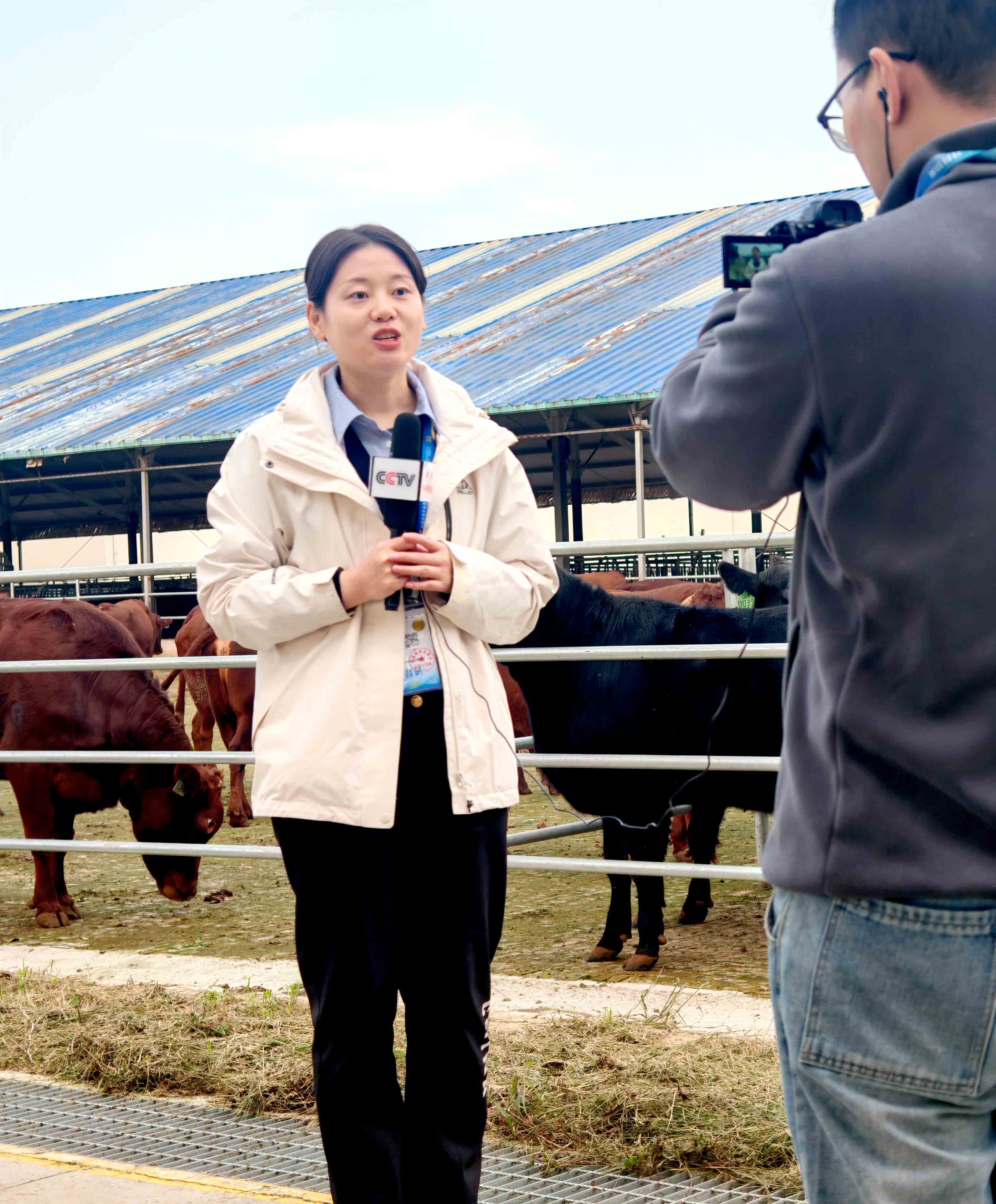 291761728392110038.jpg 291761728392110038.jpg